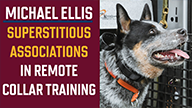Michael Ellis on Superstitious Associations in Remote Collar Training