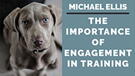 Michael Ellis on The Importance of Engagement