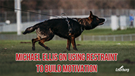 Michael Ellis On Using Restraint To Build Motivation