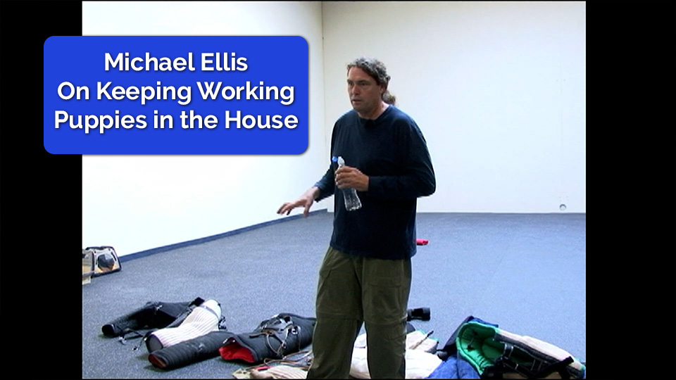 Michael Ellis on Keeping Working Puppies in the House