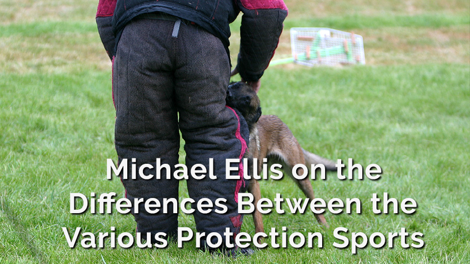 Michael Ellis on the Differences Between the Various Protection Sports