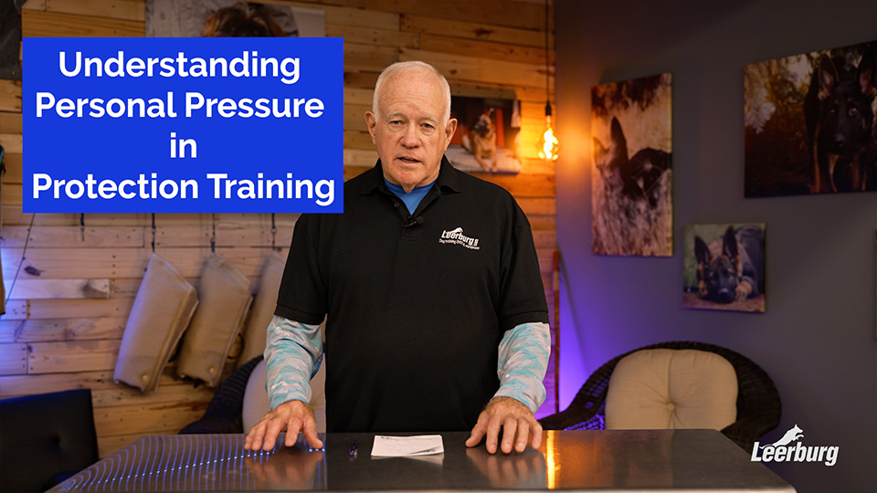 Understanding Personal Pressure in Protection Dog Training