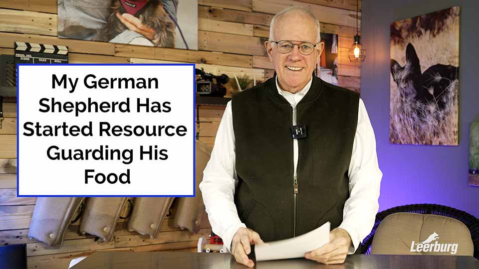My German Shepherd Has Started Resource Guarding His Food