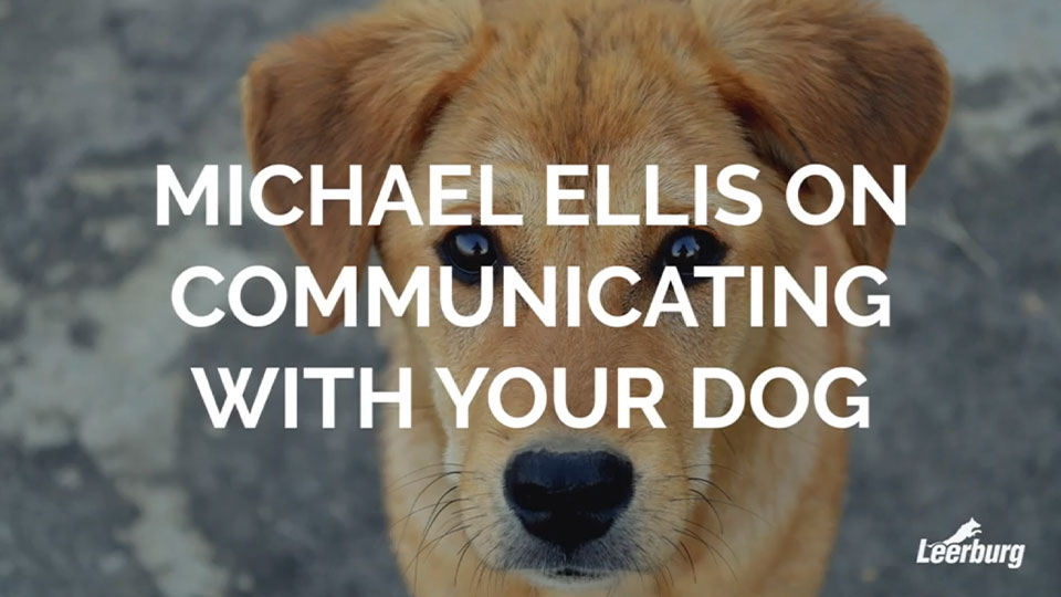 Michael Ellis on Communicating with Your Dog