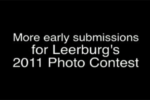 More Early Submissions for Leerburgs 2011 Photo Contest