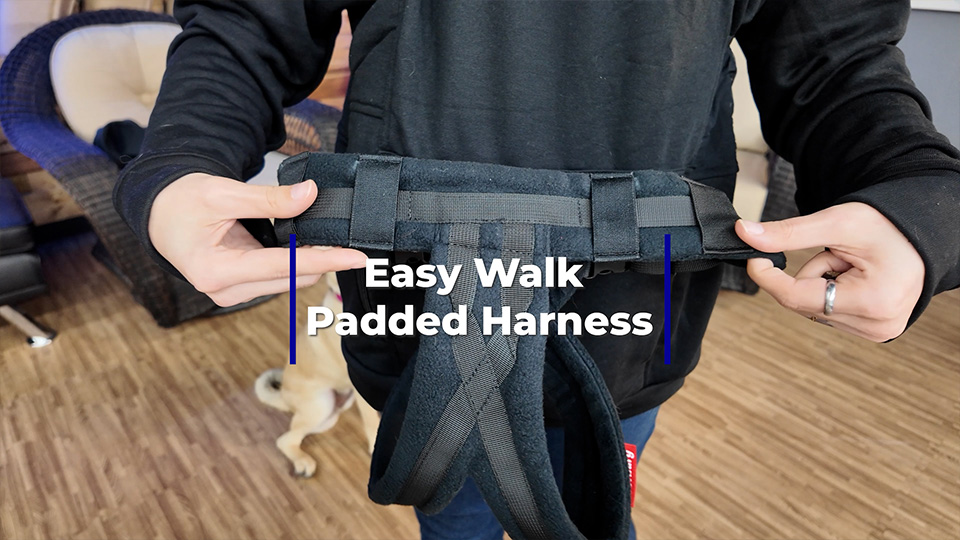 EasyWalk Padded Harness