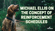 Michael Ellis on The Concept of Reinforcement Schedules