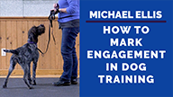 Michael Ellis on How to Mark Engagement in Dog Training