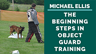 Michael Ellis on The Beginning Steps in Object Guard Training