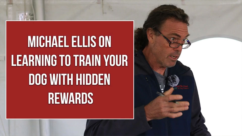 Michael Ellis on Learning to Train Your Dog with Hidden Rewards
