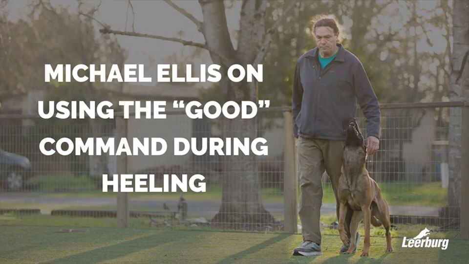 Michael Ellis on Using the Good Command During Heeling