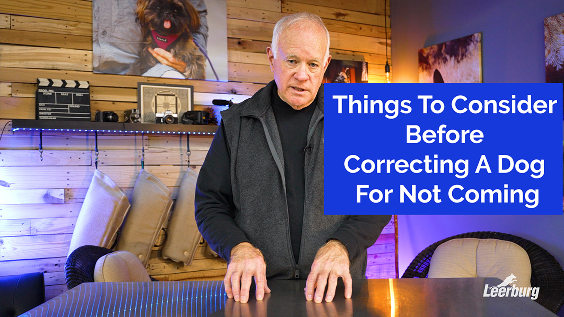 Things To Consider Before Correcting A Dog For Not Coming