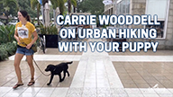 Carrie Wooddell on Urban Hiking with Your Puppy