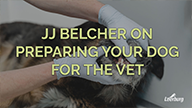 JJ Belcher on Preparing Your Dog For The Vet