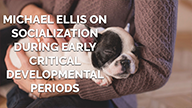 Michael Ellis on Socialization During Early Critical Development Periods