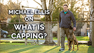 Michael Ellis on What is Capping?