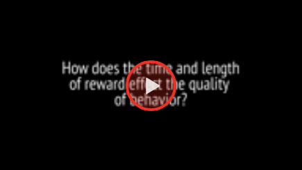 How to Determine Your RATE OF REINFORCMENT in Reward Based Training with Michael Ellis