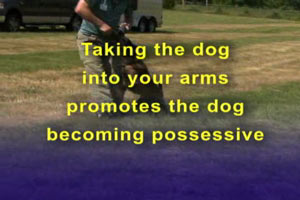 The Power of Playing Tug with Your Dog Commercial