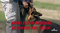 Michael Ellis on Introducing Rules In Your Dogs Tug Play