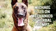 Michael Ellis on Mechanics of Verbal Prompt