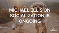 Michael Ellis on Socialization is Ongoing