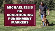 Michael Ellis on Conditioning Punishment Markers