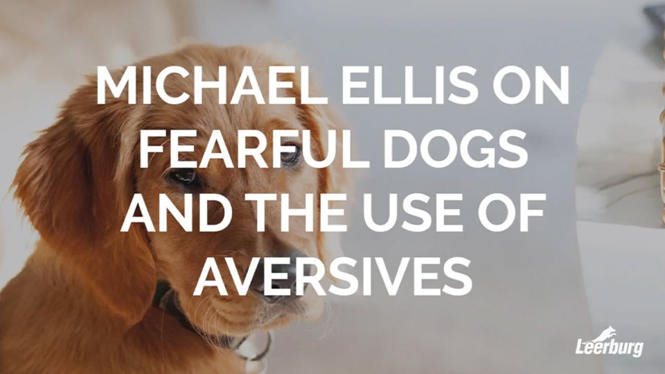 Michael Ellis on Fearful Dogs and The Use of Aversives