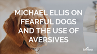 Michael Ellis on Fearful Dogs and The Use of Aversives