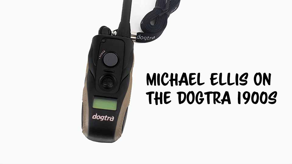 Michael Ellis Favorite E-Collar - Dogtra 1900S