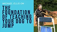 Michael Ellis on The Foundation of Teaching Your Dog To Jump