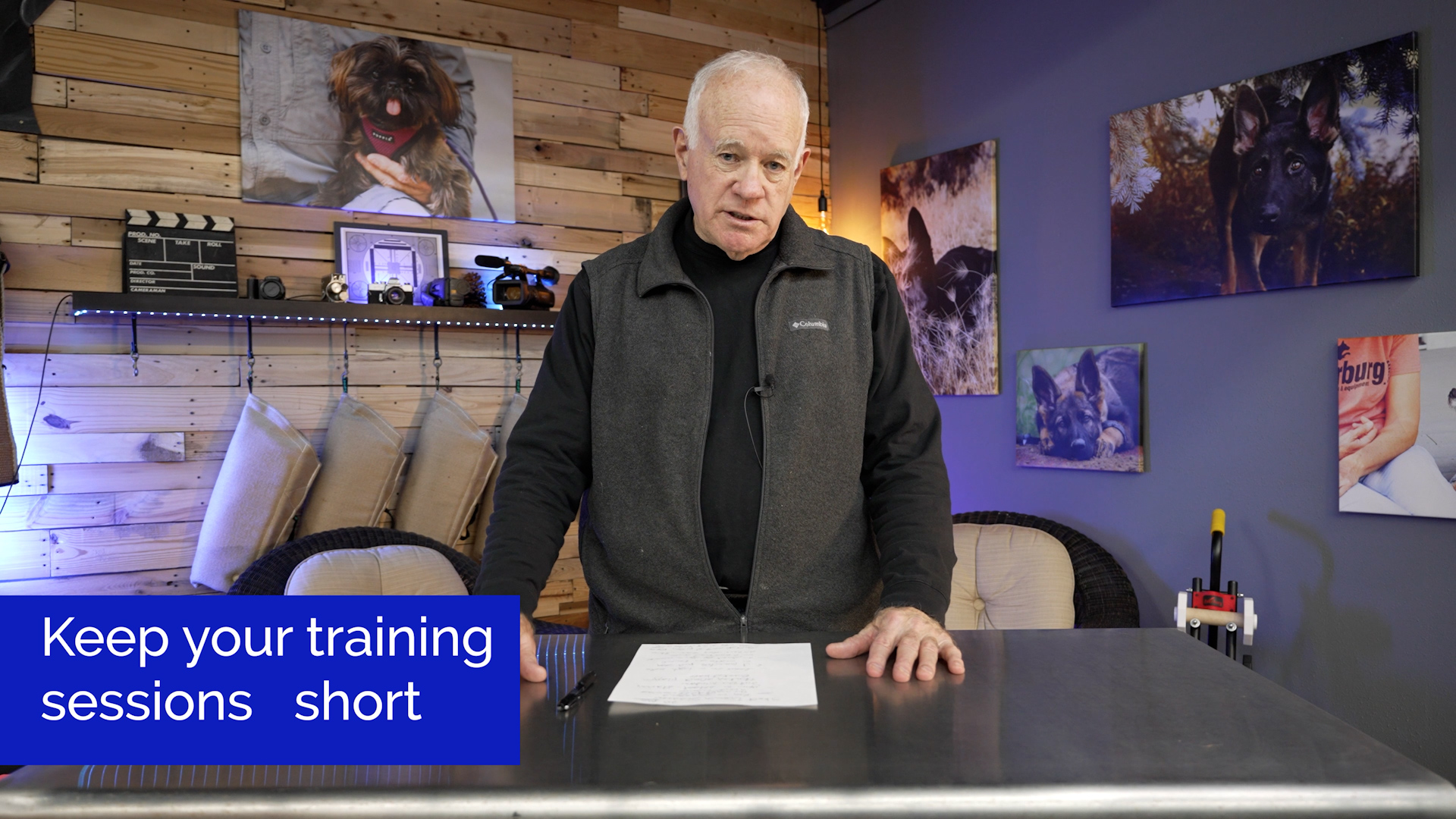 Why Short Training Sessions Are Important In Dog Training