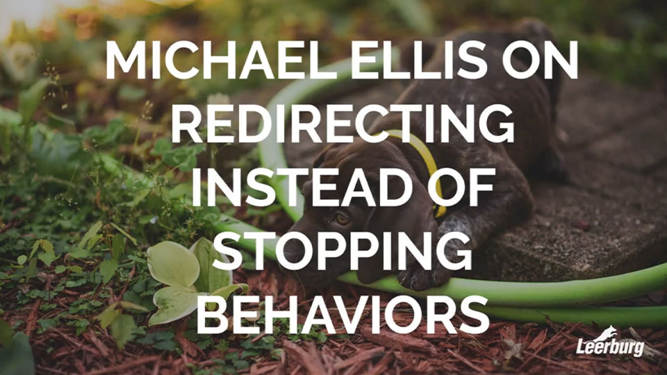 Michael Ellis on Redirecting Instead of Stopping Behaviors