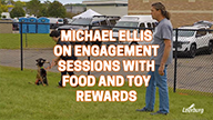 Michael Ellis on Engagement Sessions with Food and Toy Rewards