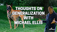 Thoughts on Generalization with Michael Ellis