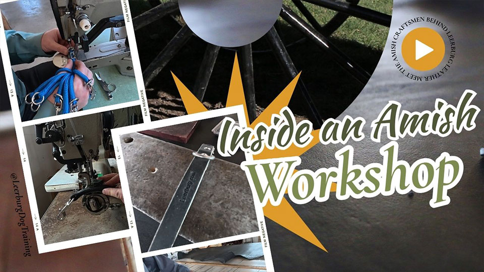 Road Trip-Meet Amish Craftsmen