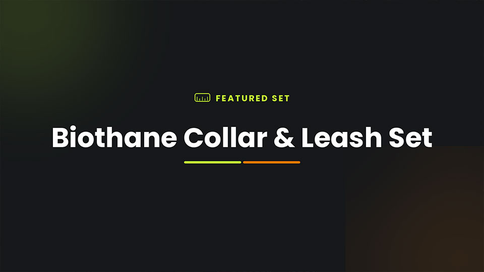 Biothane Collar and Leash Set