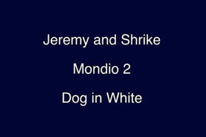 Dog in White for Mondioring