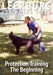 Protection Training the Beginning