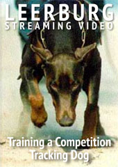 Training a Competition Tracking Dog