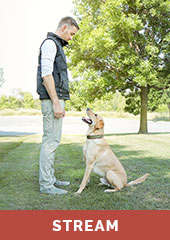 An Introduction to Dog Training with Jeff Frawley