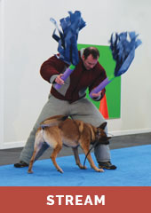 The Mechanics of Working a Dog in a Bite Suit with Mark Keating