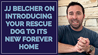 JJ Belcher on Introducing Your Rescue Dog to Its New Forever Home