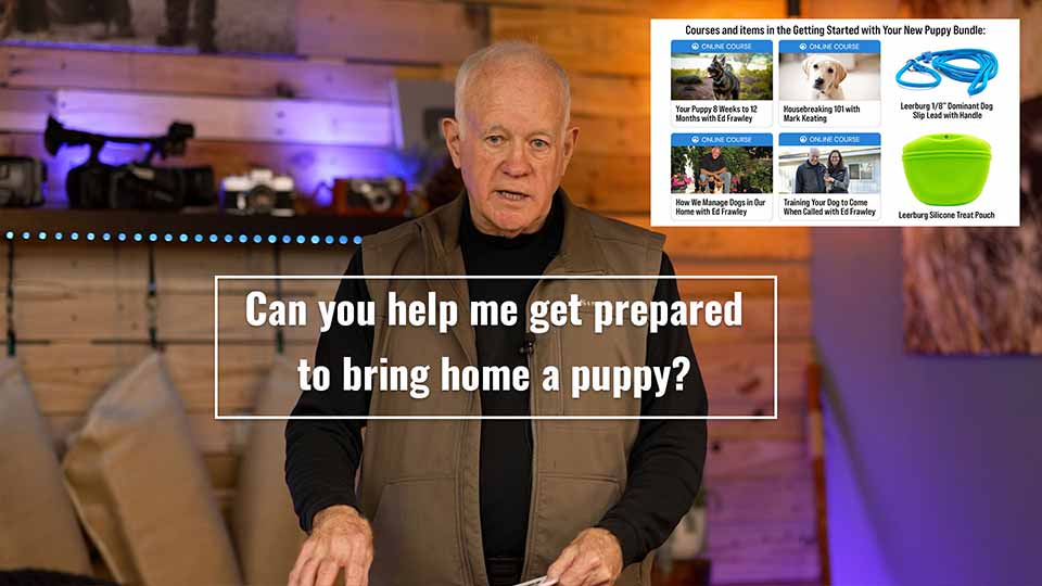 Can you help me get prepared to bring home a puppy?