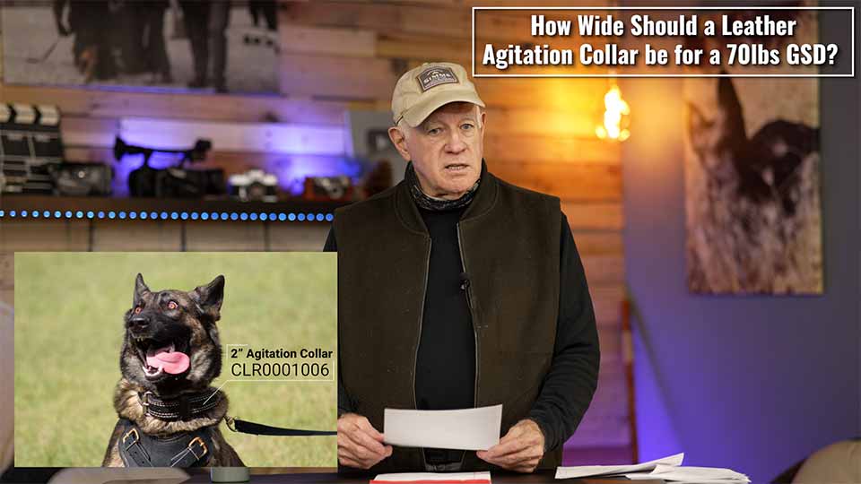 How Wide Should a Leather Agitation Collar Be for a 70lbs GSD