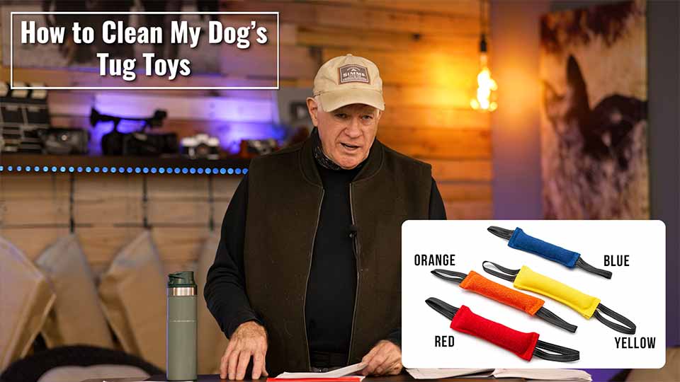 How to Clean My Dogs Tug Toys