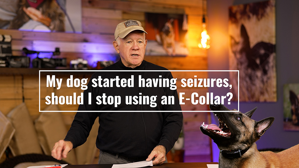 My dog started having seizures, should I stop using an E-Collar?