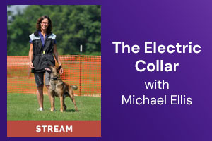 The Electric Collar with Michael Ellis