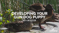 New Leerburg DVD - Developing Your Gun Dog Puppy Using Marker Training
