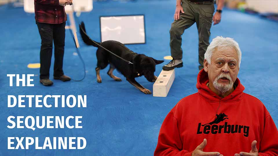 The Detection Sequence Explained