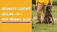 Advanced Contact Heeling with Michael Ellis